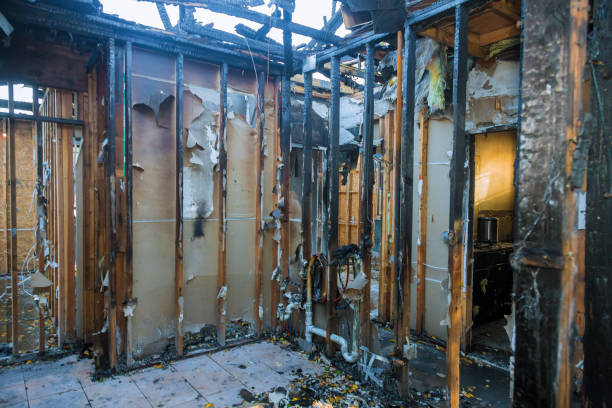 Professional Emergency Fire Cleanup technician working in Cortez, FL